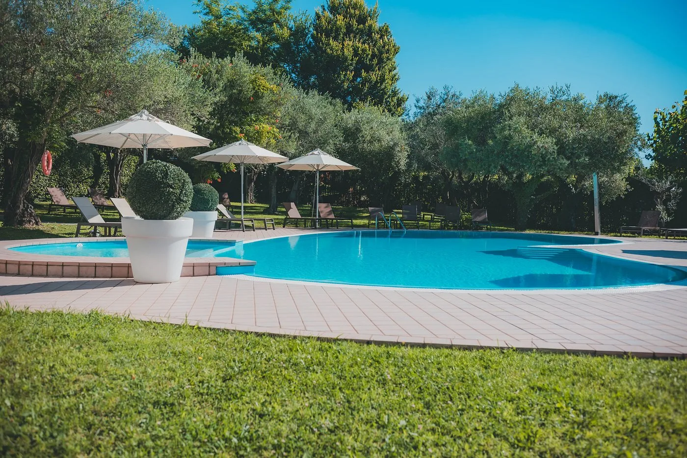 Piscina immersa nel verde con ulivi e ombrelloni