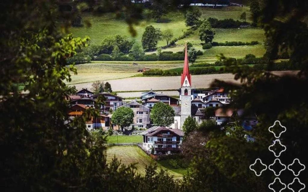 Vista