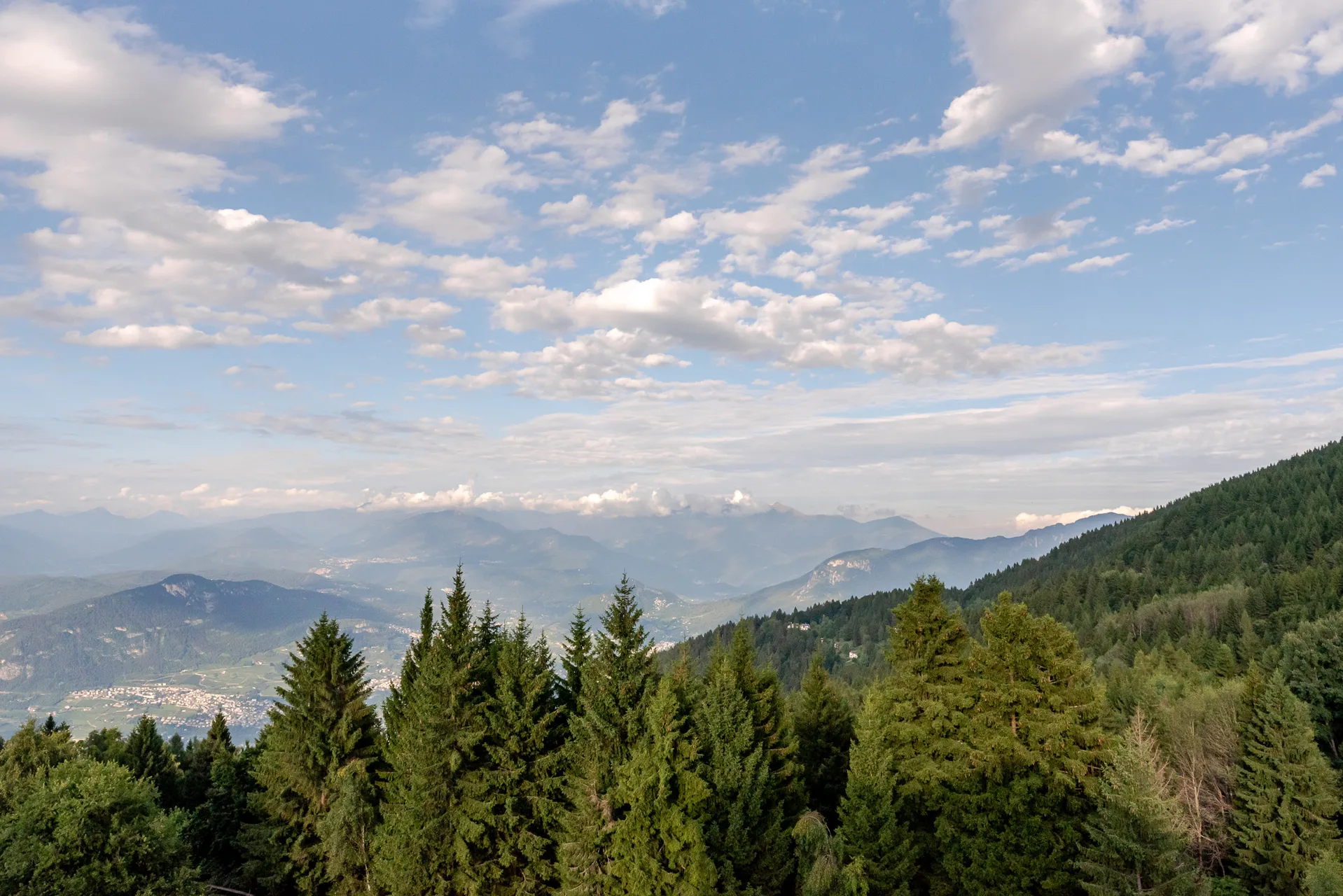 Vista panoramica sulle montagne e valli con cielo azzurro e foresta di conifere