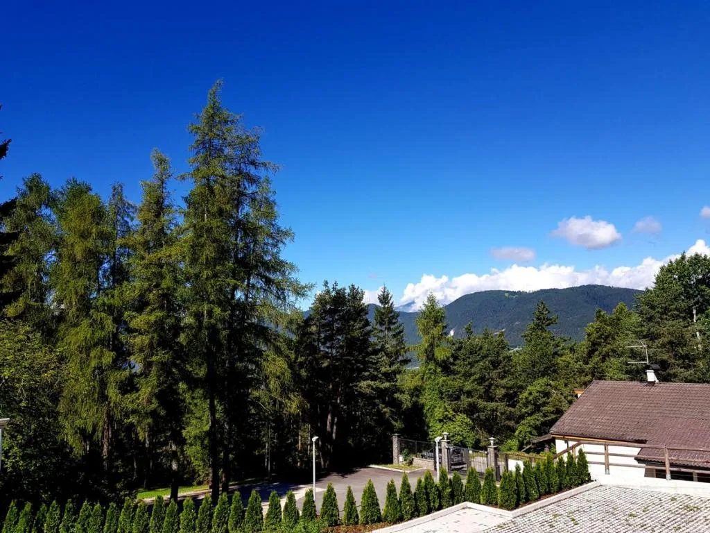 Vista panoramica su montagne e boschi verdi dalla terrazza dell'hotel