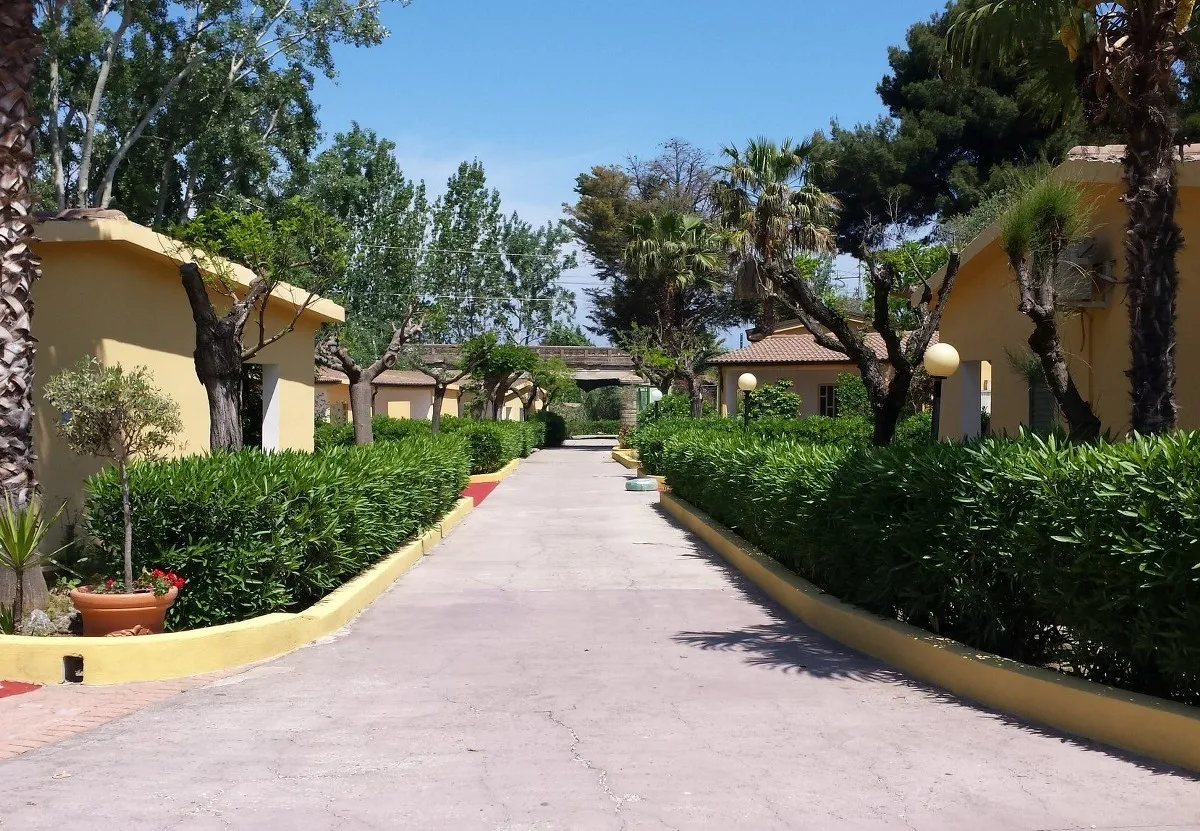 Vialetto del villaggio tra bungalow gialli, siepi e palme