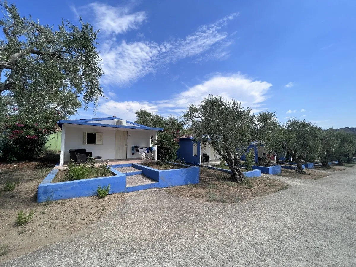 Casetta bianca e blu con portico circondata da ulivi
