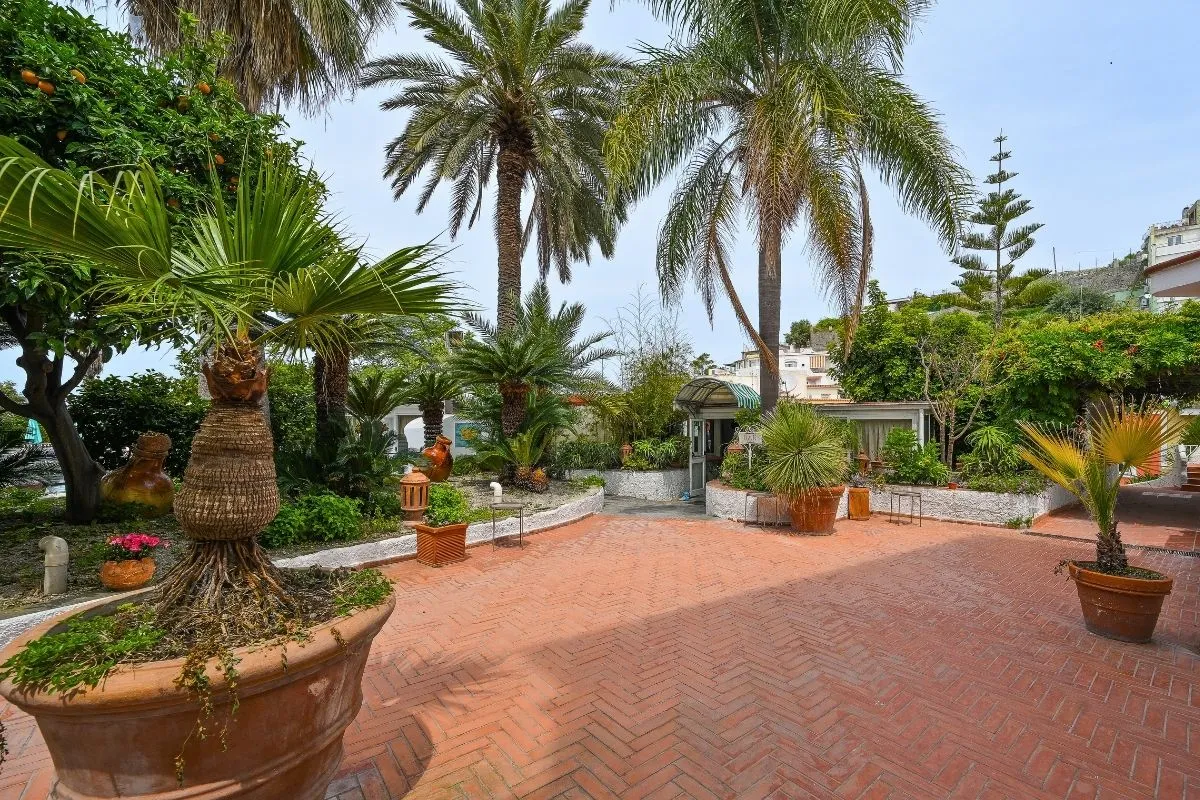 Giardino dell'hotel con palme, piante in vaso e pavimentazione in cotto