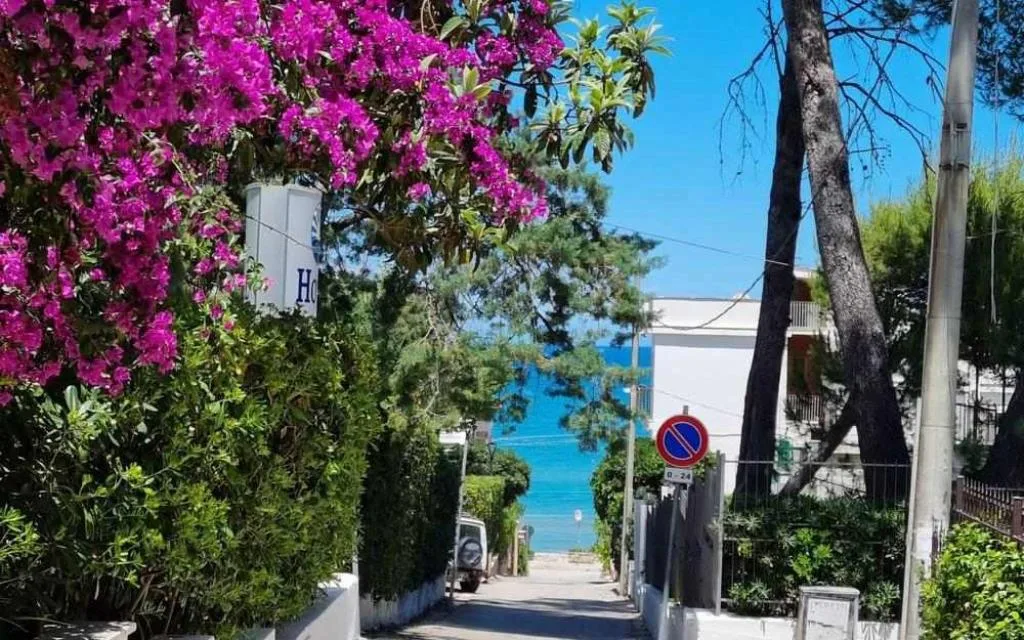 HOTEL GARDEN