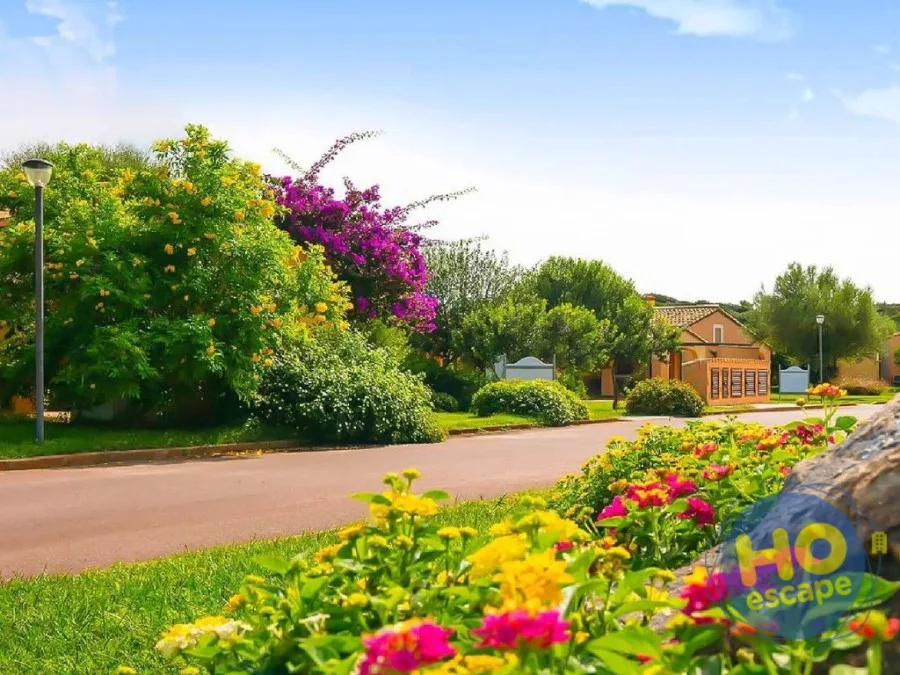 Viale del resort con aiuole fiorite colorate e vegetazione lussureggiante