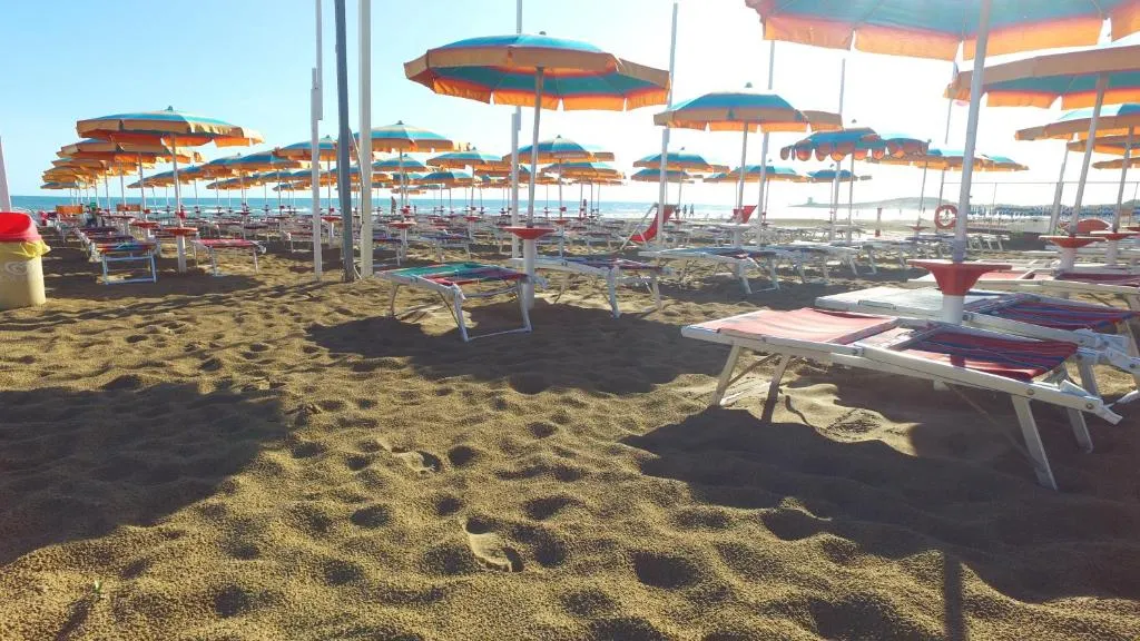 Spiaggia attrezzata con file di ombrelloni colorati e lettini sulla sabbia in riva al mare