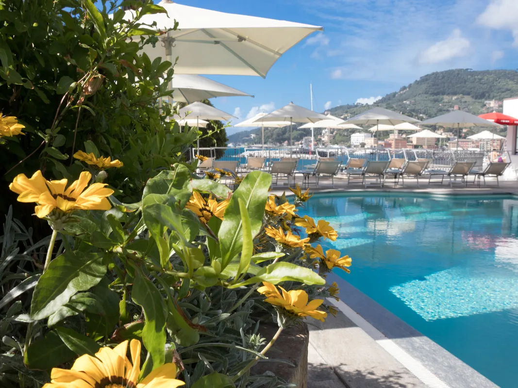 Piscina con fiori gialli in primo piano, ombrelloni e vista sul borgo e le colline