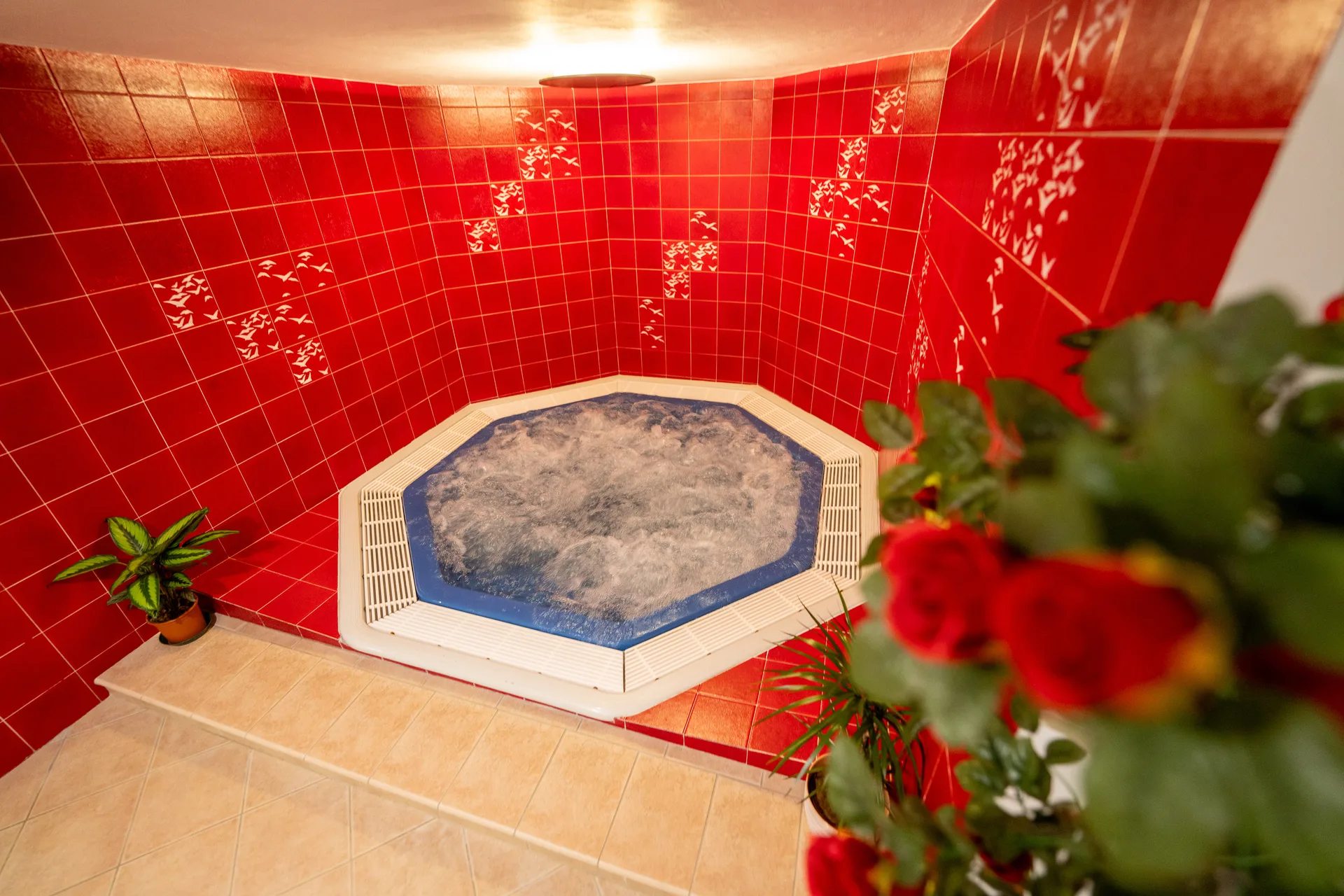 Vasca idromassaggio circondata da piastrelle rosse con piante decorative e rose nella zona spa