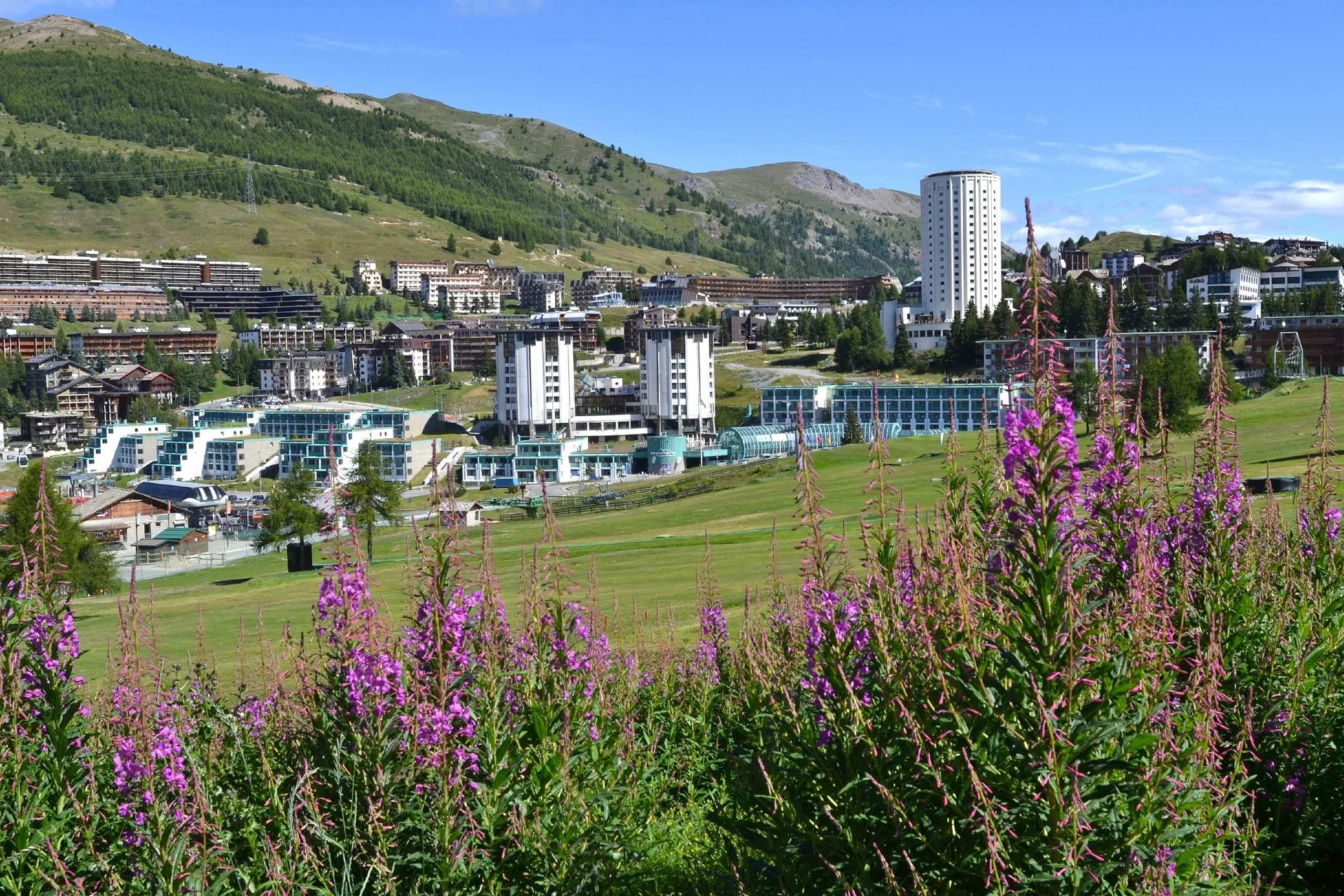 Vista estiva del villaggio con prati verdi, fiori viola e montagne