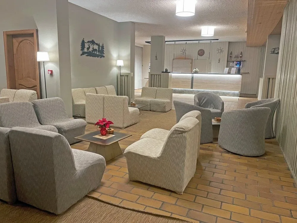 Sala comune con poltrone grigie e decorazione a tema montagna vicino alla reception