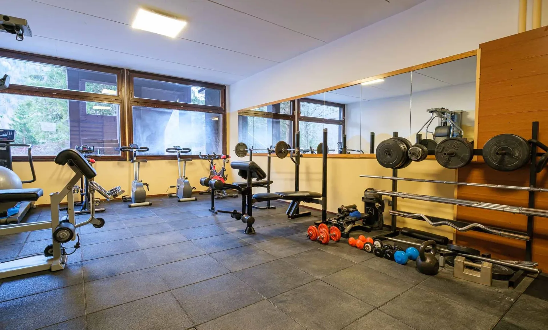 Palestra attrezzata con pesi, cyclette e specchi