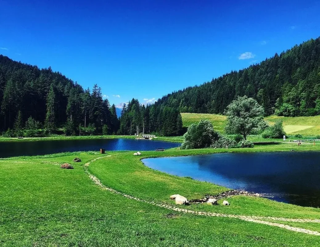 Laghetto alpino con acqua azzurra, prato verde e foreste di montagna sotto cielo limpido
