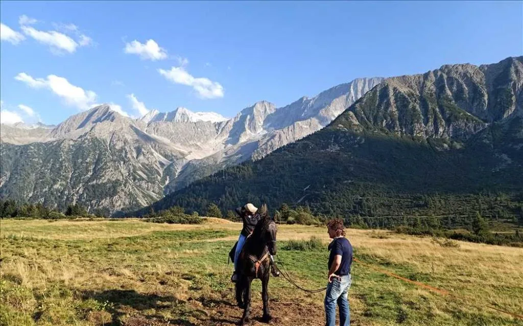 Dintorni