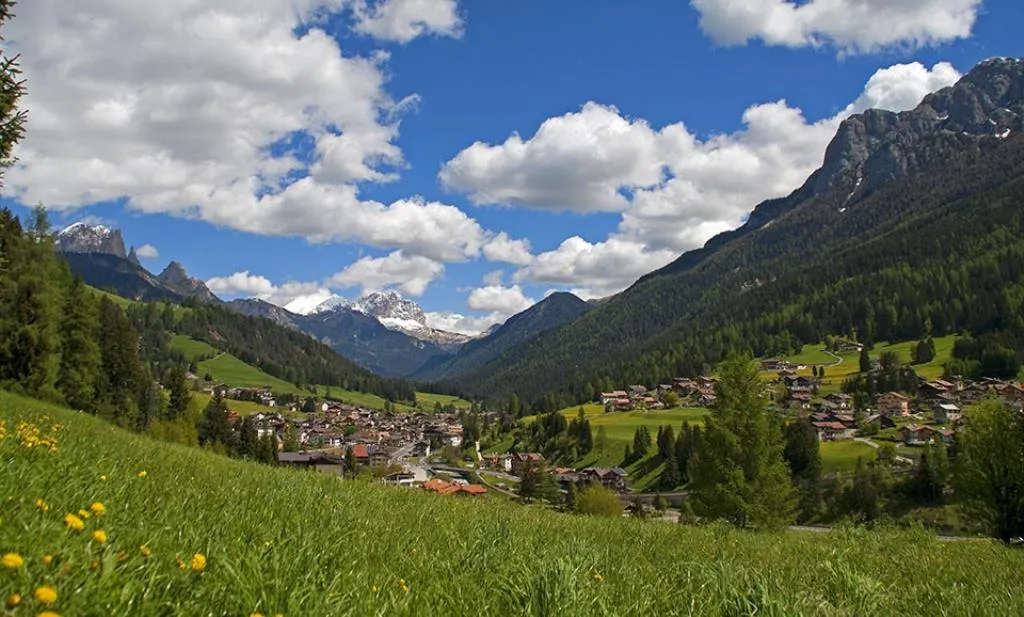 Panorama
